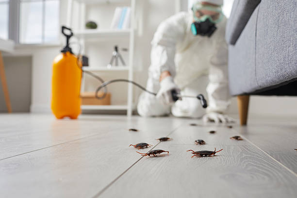 Post-Treatment Bed Bug Interceptor Monitoring in Pineville